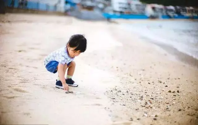 去趕海啦！新加坡海灘竟然也有寄居蟹、花蟹、龍蝦、海星