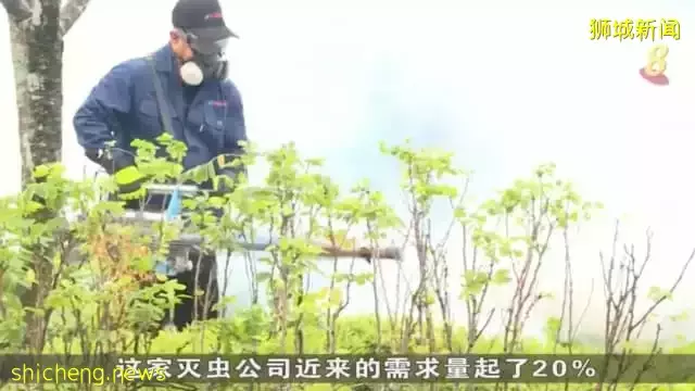 骨痛热症病例攀升 灭虫公司却人手短缺