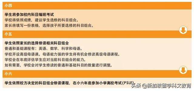 來新加坡讀政府小學，這些內容一定要知道