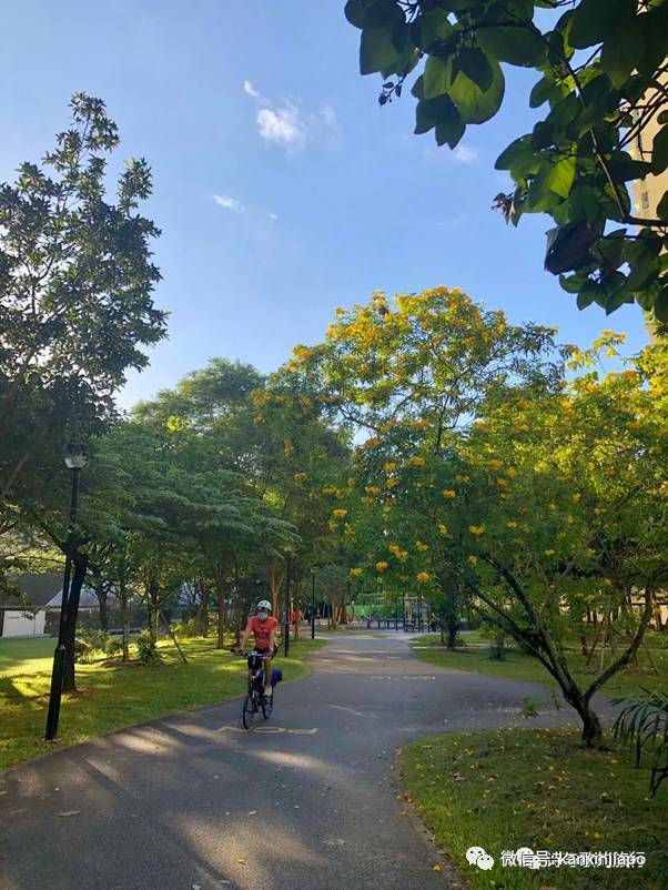 亚历山大在新加坡铺了一条路，你知道在哪里吗