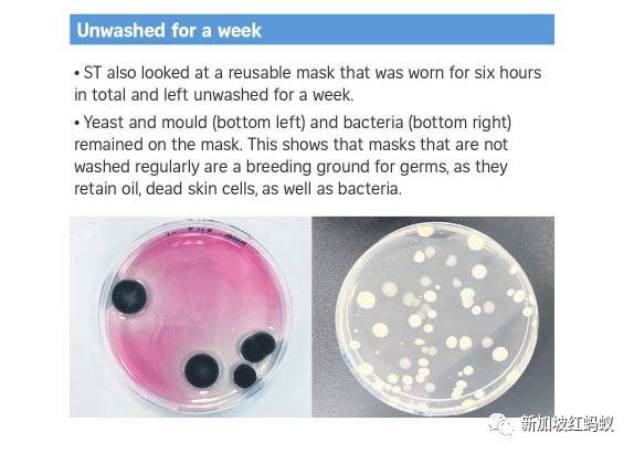 戴了一天的口罩会吸附多少微生物？　来看看究竟有多恐怖