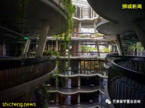 南洋理工大学开设全中文授课、无英语成绩要求的硕士项目，你心动吗