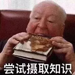 新加坡 细数狮城撸猫好去处