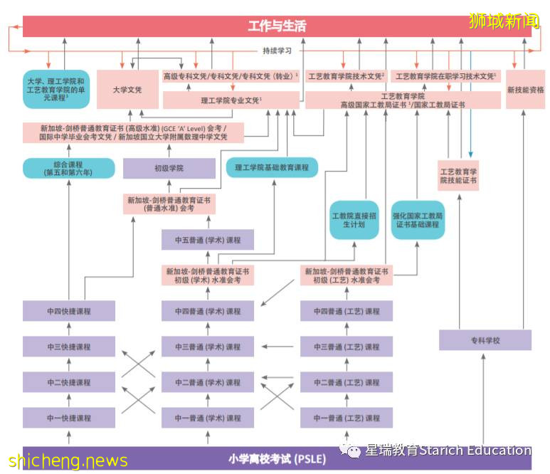 新加坡精英教育体系 - 中学篇(1)