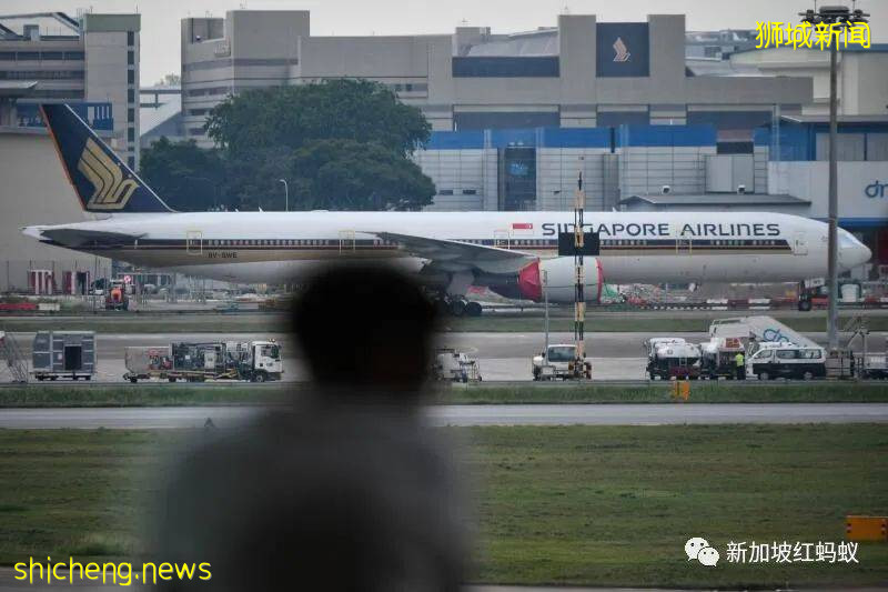 因疫情停飞在澳洲沙漠“休养”了一年多　新航A380终于回家啦