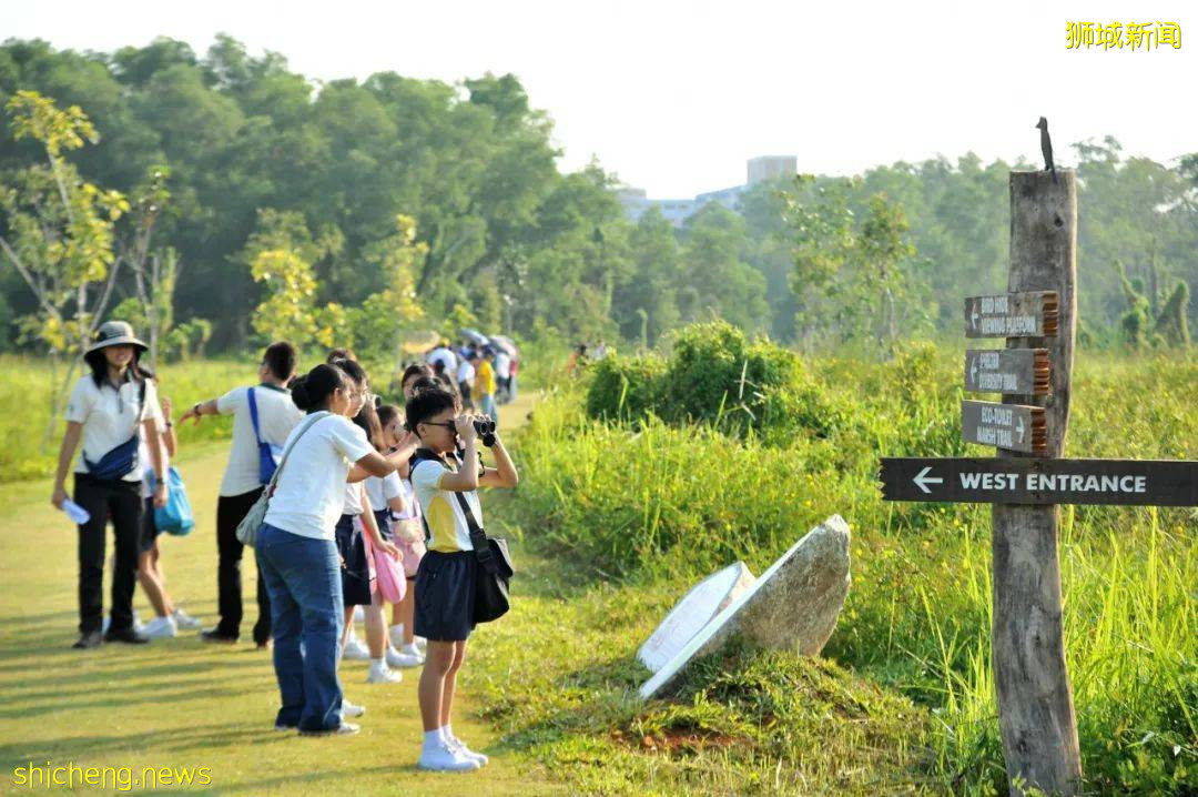 人少景美！新加坡5個自然公園推薦，第一個就心動了