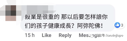 主人怕两岁小狗咬伤小孩，竟把它人道毁灭......