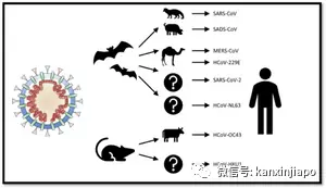 反反复复，新冠病毒生命力为什么如此“顽强”