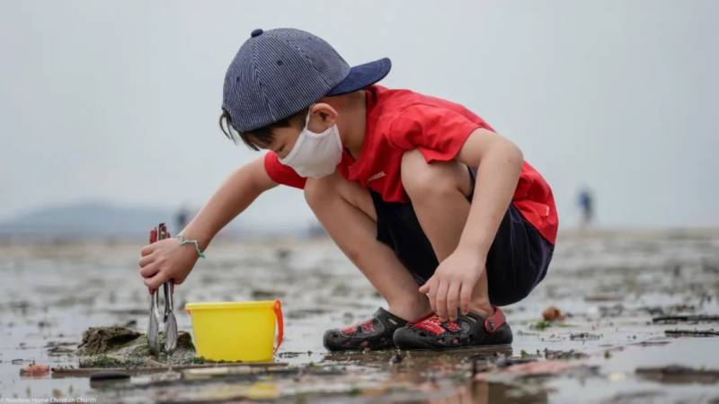 新加坡趕海全攻略！寄居蟹、花蟹、龍蝦、蛤蜊、海星、海參...我挖到寶藏啦