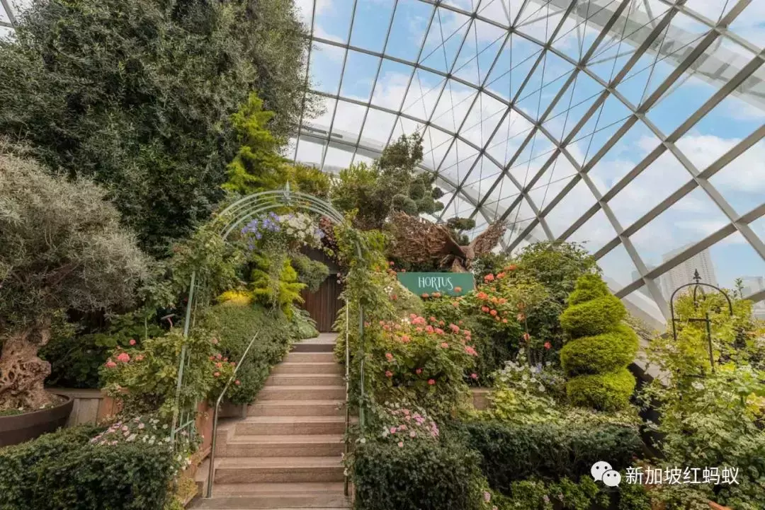 新加坡公園的浪漫，只有去過這些隱藏版特色餐館的人才懂