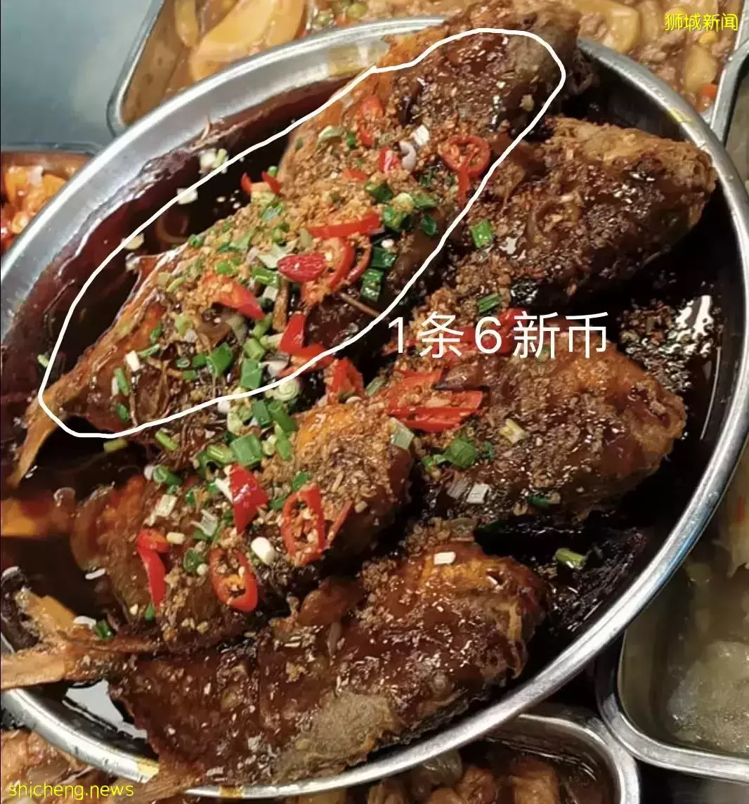 网友热议！杂菜饭11新、咖啡店4000万！新加坡物价太魔幻