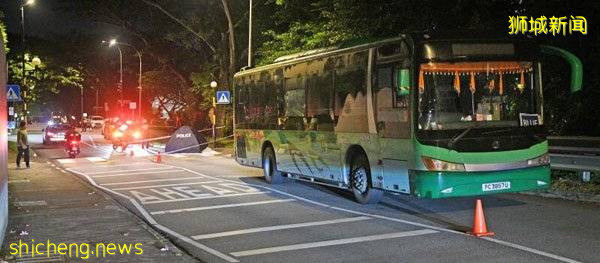 大馬婦女獅城車禍亡 夫視訊囑亡妻：你要好好地走