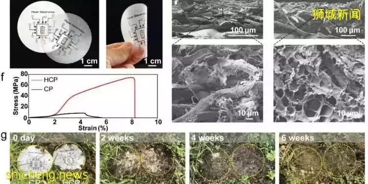 NTU 科学家研发可生物降解电池，更环保更灵活