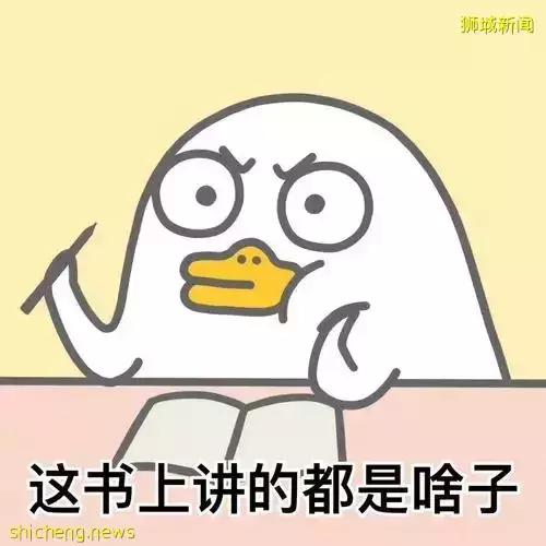 收藏起來！家長必須知道的新加坡中小學教育(學校/考試/課程）常見英文縮寫