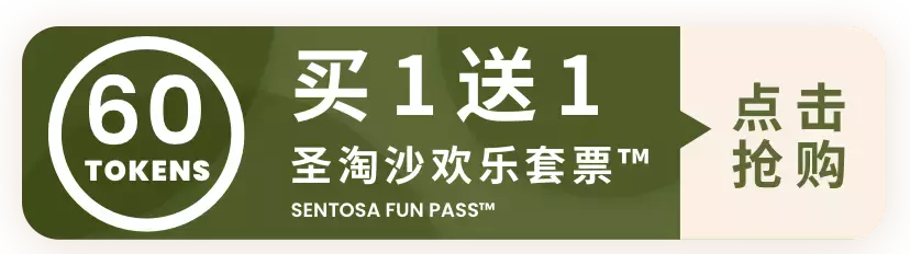 【跨年去哪】嗨玩圣淘沙！看跨年烟火！吃$5.8米其林美食！买年货！逛阿迪概念店