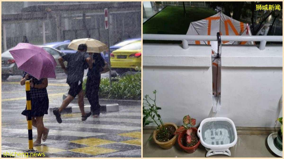 租屋居民搞创意, 走廊装雨伞免费收集雨水