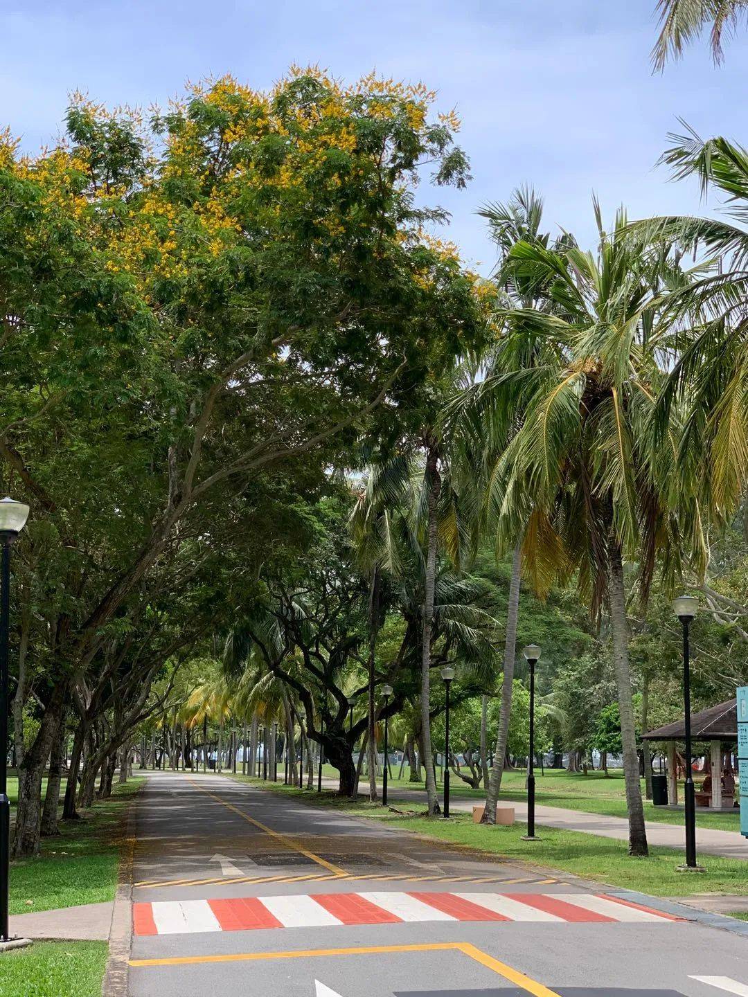 行走狮城——东海岸公园