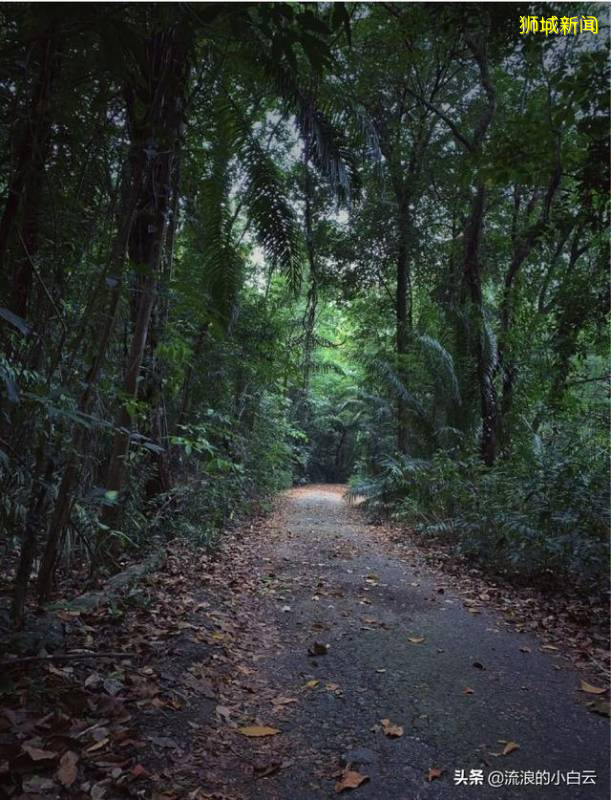 新加坡，如果你有计划多一天，这个地方，一定要去