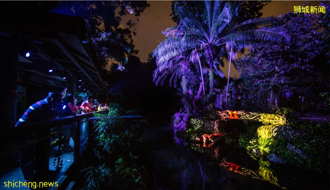 ‘幻光雨林之夜’再次登錄動物園，靈動大自然與光影魅力的交彙，最後一季不可錯過