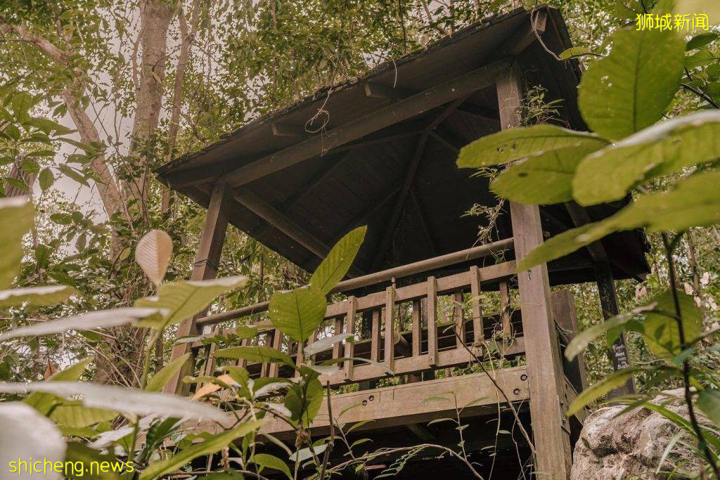 隐藏在新加坡的日式鸟居⛩️和凉亭，就在Bukit Batok