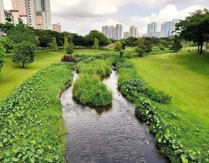 新加坡18个适合家庭的野餐公园，一起过个轻松周末吧