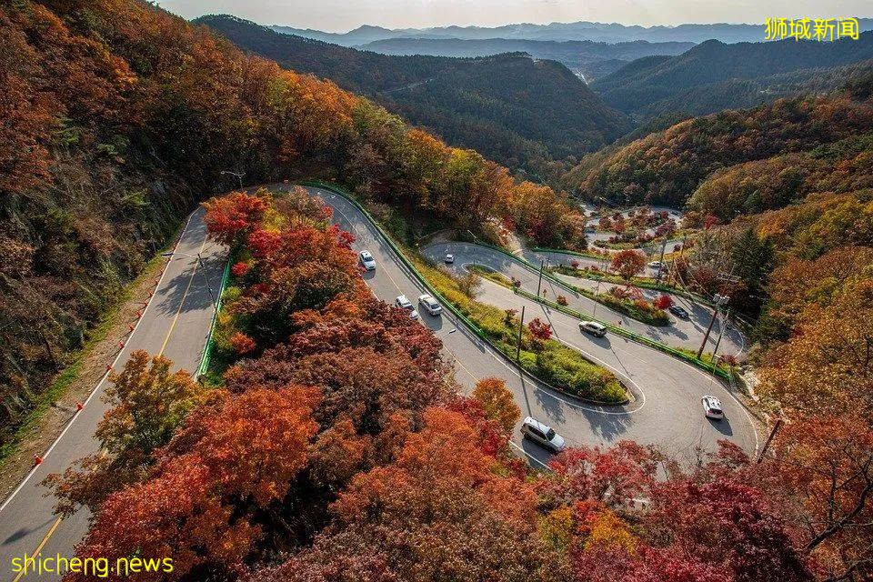 國外培養村醫要求有多高？從德國、韓國、古巴、新加坡四國看基層醫療