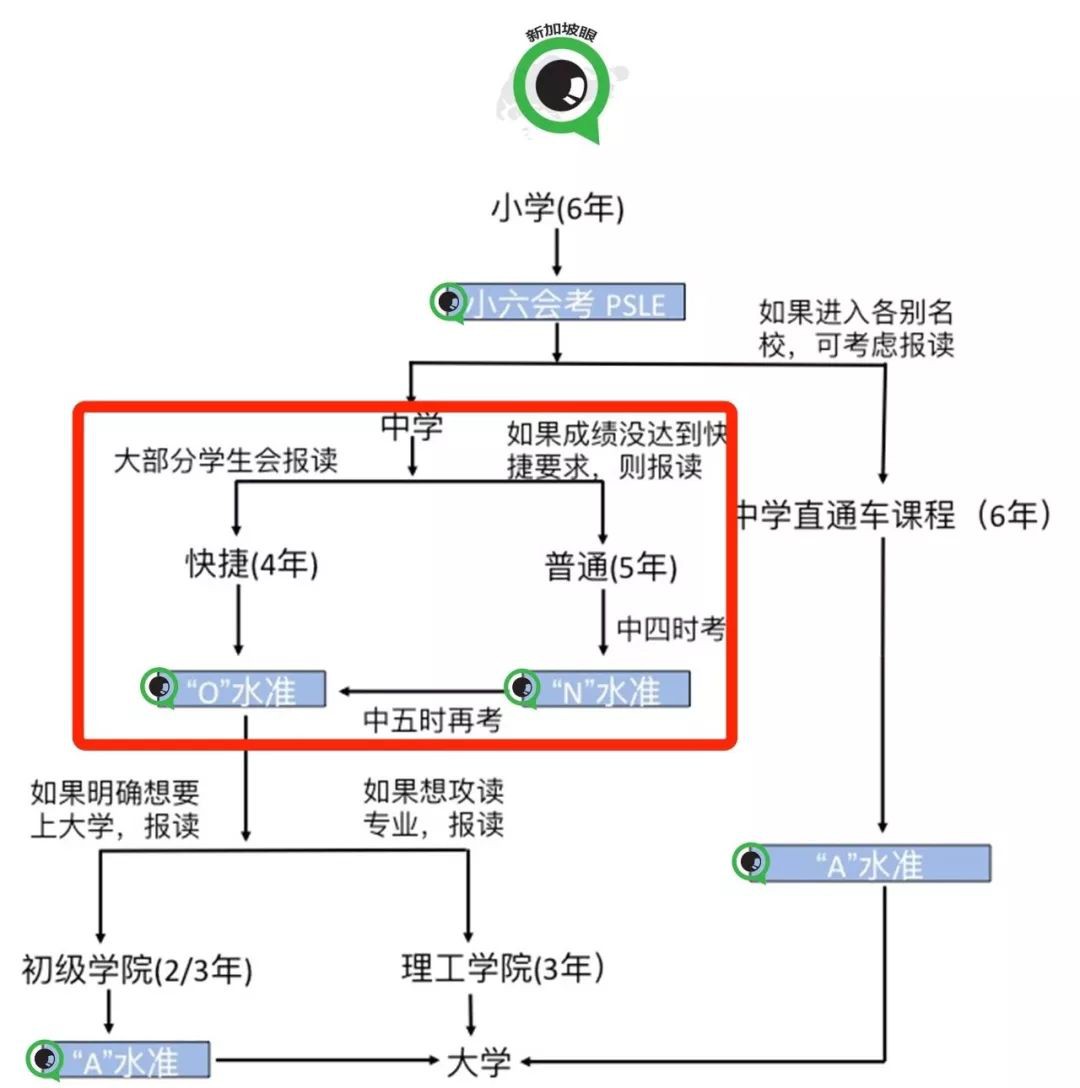 全球IB考试99人得满分，55考生来自新加坡