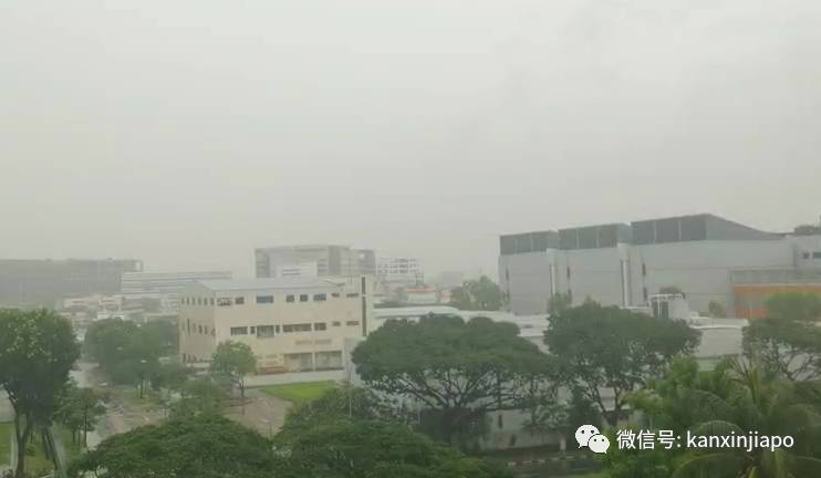 新加坡的雨又憋了一波大招，这些地方都变出壮观水景