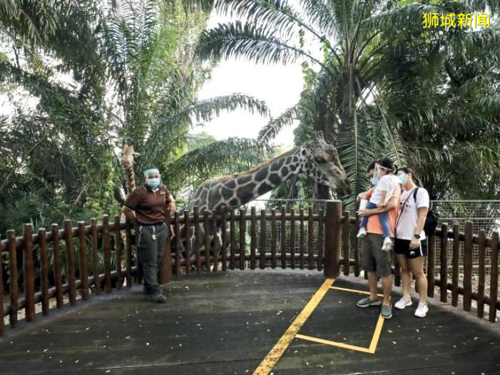 新加坡動物園，飛禽園，河川園都開門了！感興趣的朋友