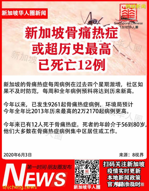 新加坡骨痛热症9261例，死亡12人！网友叙述得病后的痛苦经历