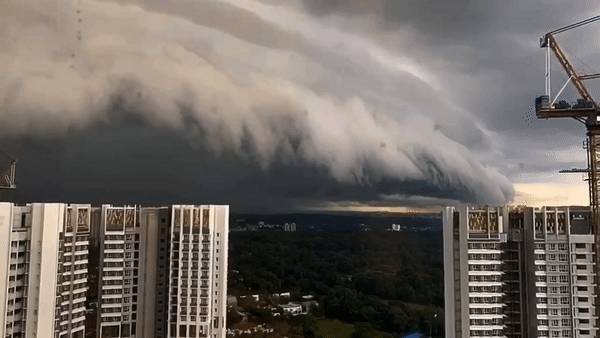 犹如世界末日！实拍新加坡被海啸云“吞没”！暴雨、发大水、树倒