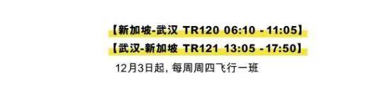 新加坡直飞中国武汉航班再重启，热干面我来了