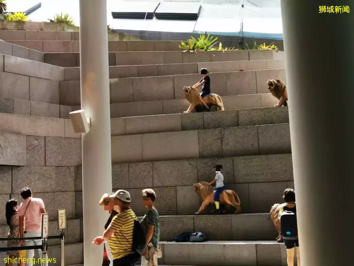 孩童危爬兩層樓高台階引擔憂 濱海灣花園：將設告示牌促勿攀爬
