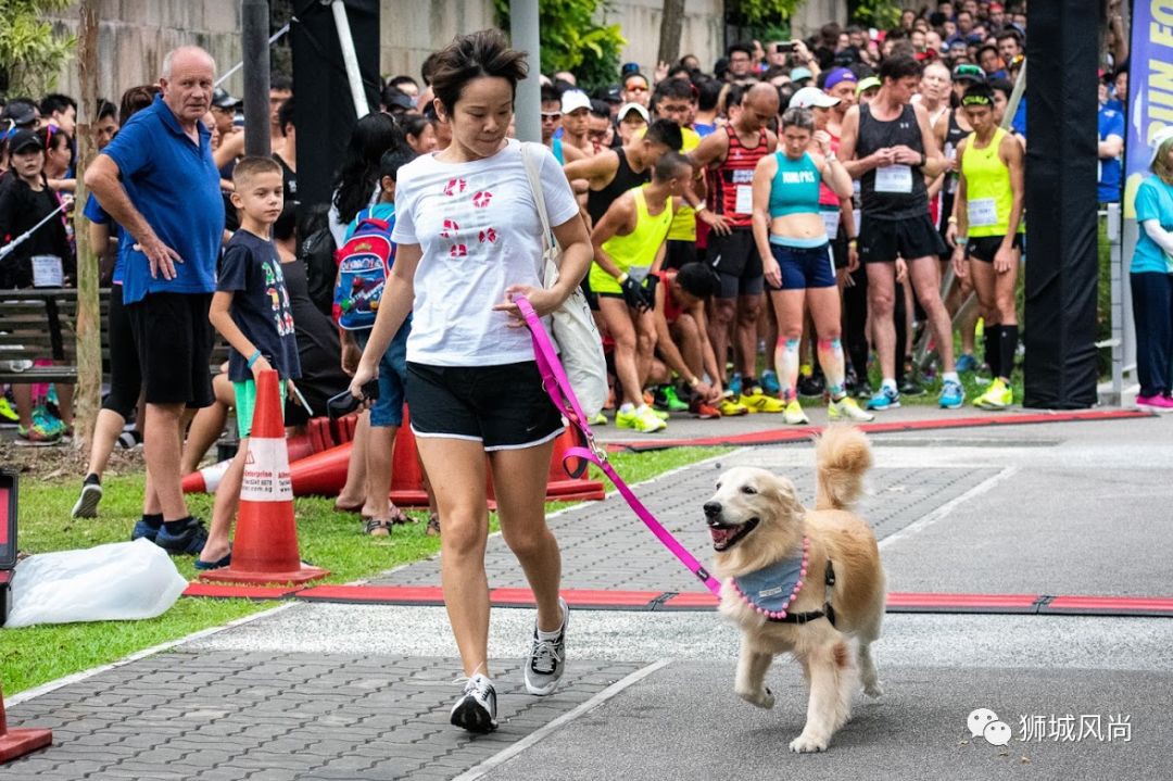 Run for Light Singapore 2020- Experience the sight without light