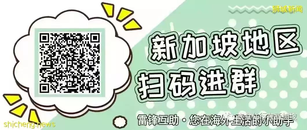 新加坡野猪携四子气势汹汹，撞向市民