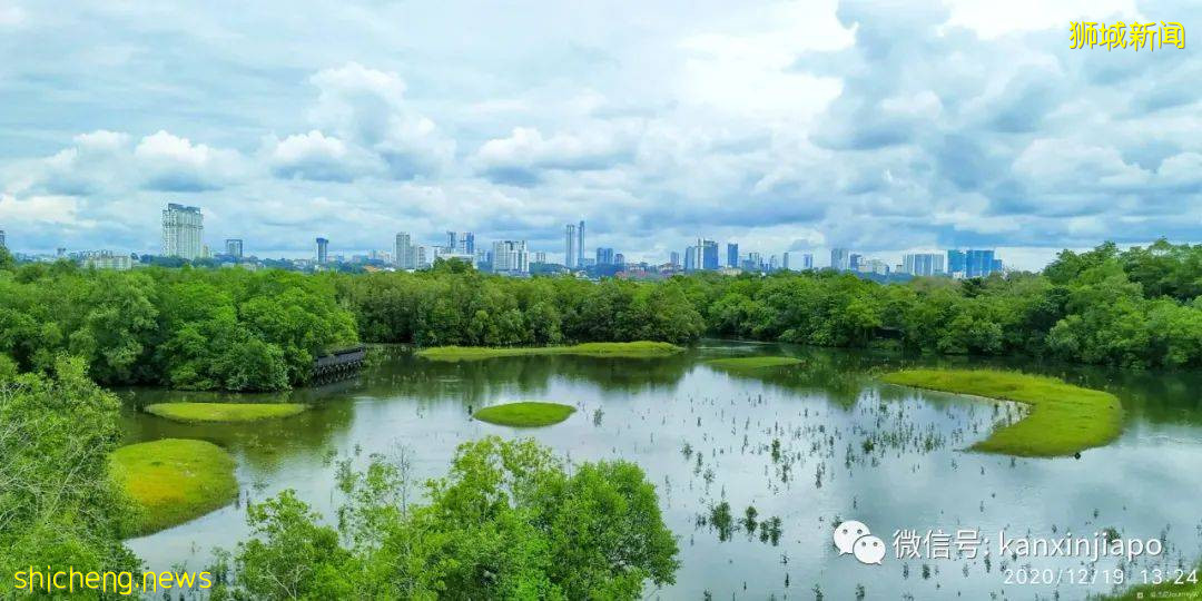 双溪布洛湿地公园，新加坡西部周末休闲的好去处