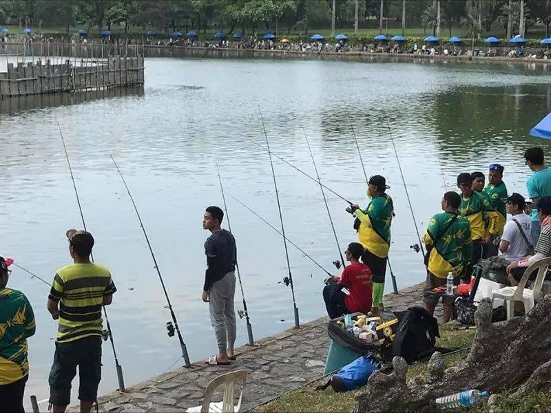 13個新加坡最好玩的公園！野餐，徒步，釣蝦，捕螃蟹