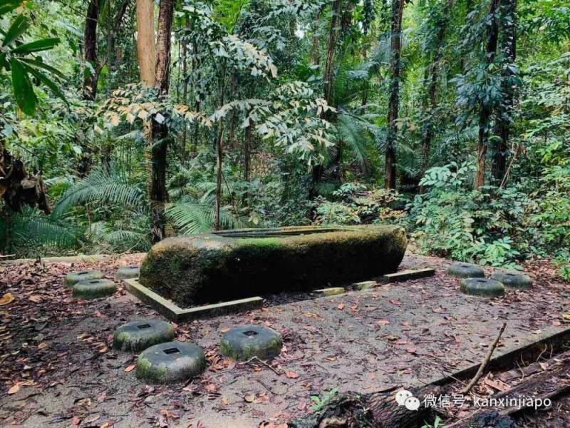 勇闯麦里芝被遗忘的神社，狂风暴雨下惊险求生