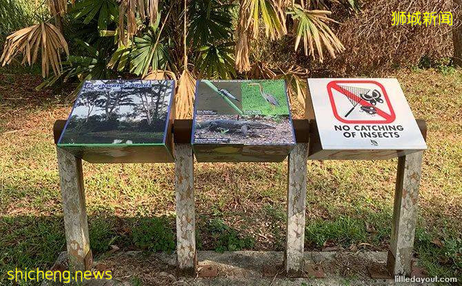 人少景美！新加坡5個自然公園推薦，第一個就心動了