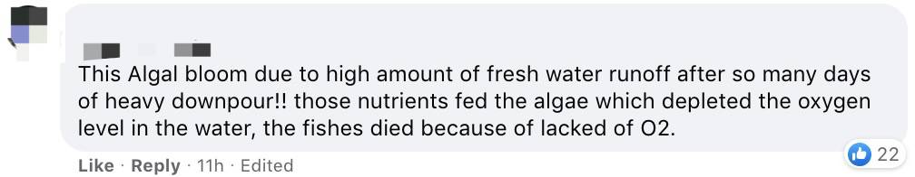 罕見！新加坡聖淘沙這條河變成了粉色，驚現大批死魚！39年創記錄暴雨太作了