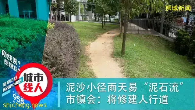 泥沙小径雨天易“泥石流” 市镇会将修建人行道