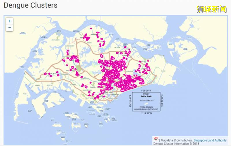 新加坡登革热最严重的一年，不想中招的话一定要看完这篇