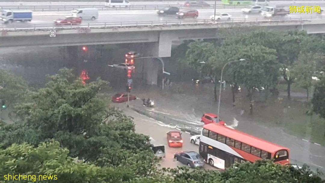 新加坡大暴雨：马路变河、草坡变瀑布！25人被困，1人送医