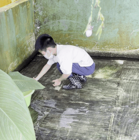 下水抓蛙、摘菜摸魚、開土摩托……我帶娃體驗了一把新加坡的農家樂