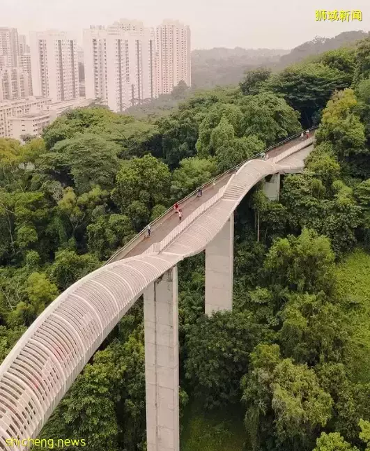 玩在狮城 春日踏青好去处推荐——坡岛这4个风景绝佳的徒步胜地你一定不能错过