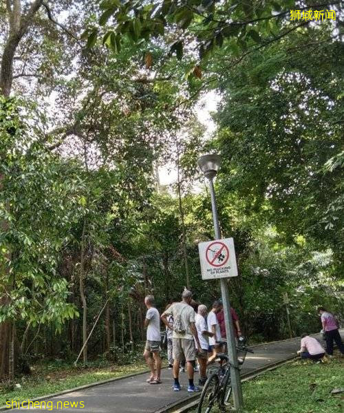 義順公園 撿榴梿引熱議 有人撐傘護頭 苦守通宵