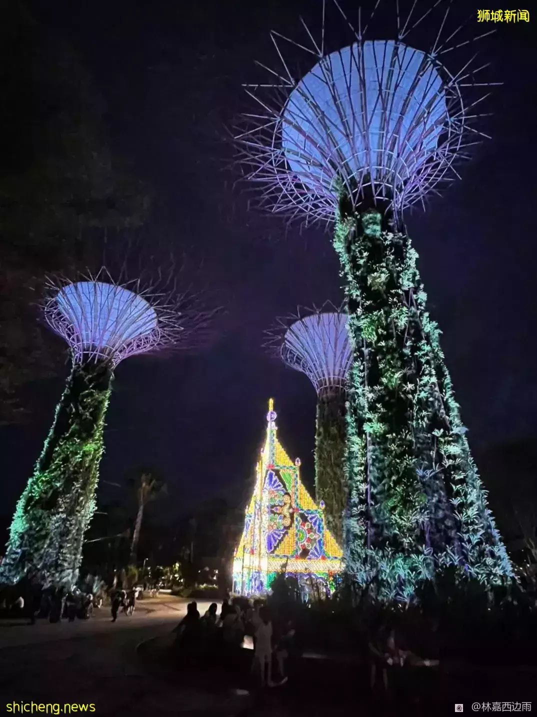 家门口的梦幻美景，滨海湾花园云雾林一游