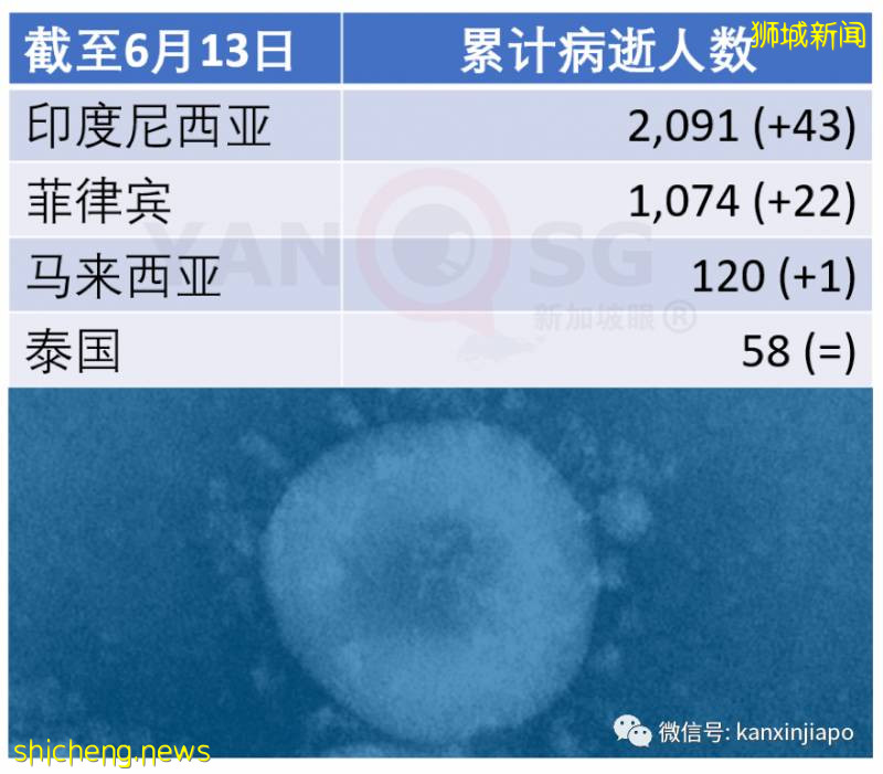 今增407，累计40604|新加坡6月底是否能恢复几乎所有经济活动，就看下周了