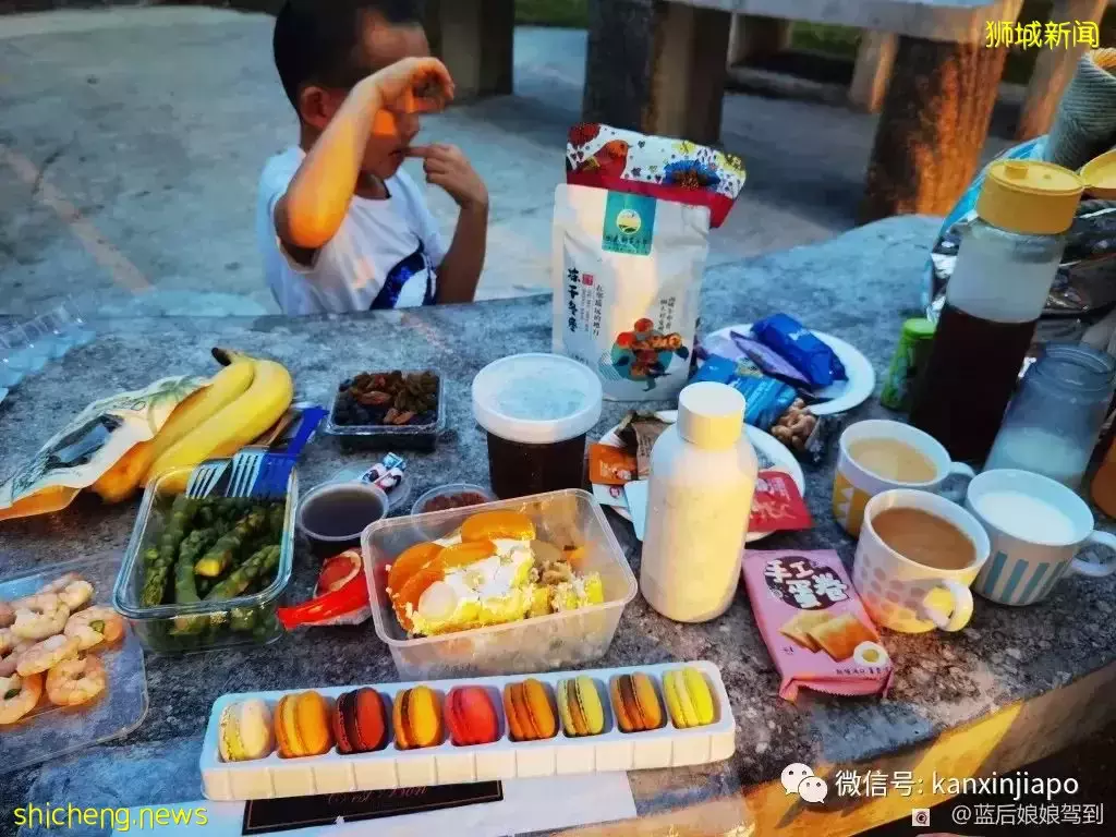 去樟宜海滩赶海吧，那里有最美的日出和从未见过的海洋生物