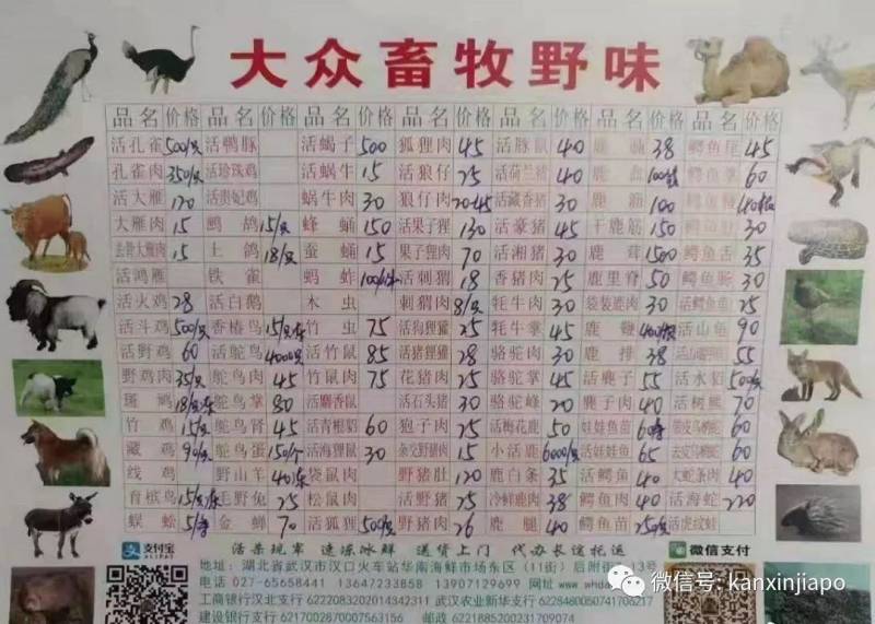 “武汉肺炎”罪魁祸首是野味？新加坡却连鸭血、猪血都不让吃